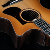 Eastman AC722CE-DF, European Spruce, Indian Rosewood, Cutaway - NEW - ON HOLD