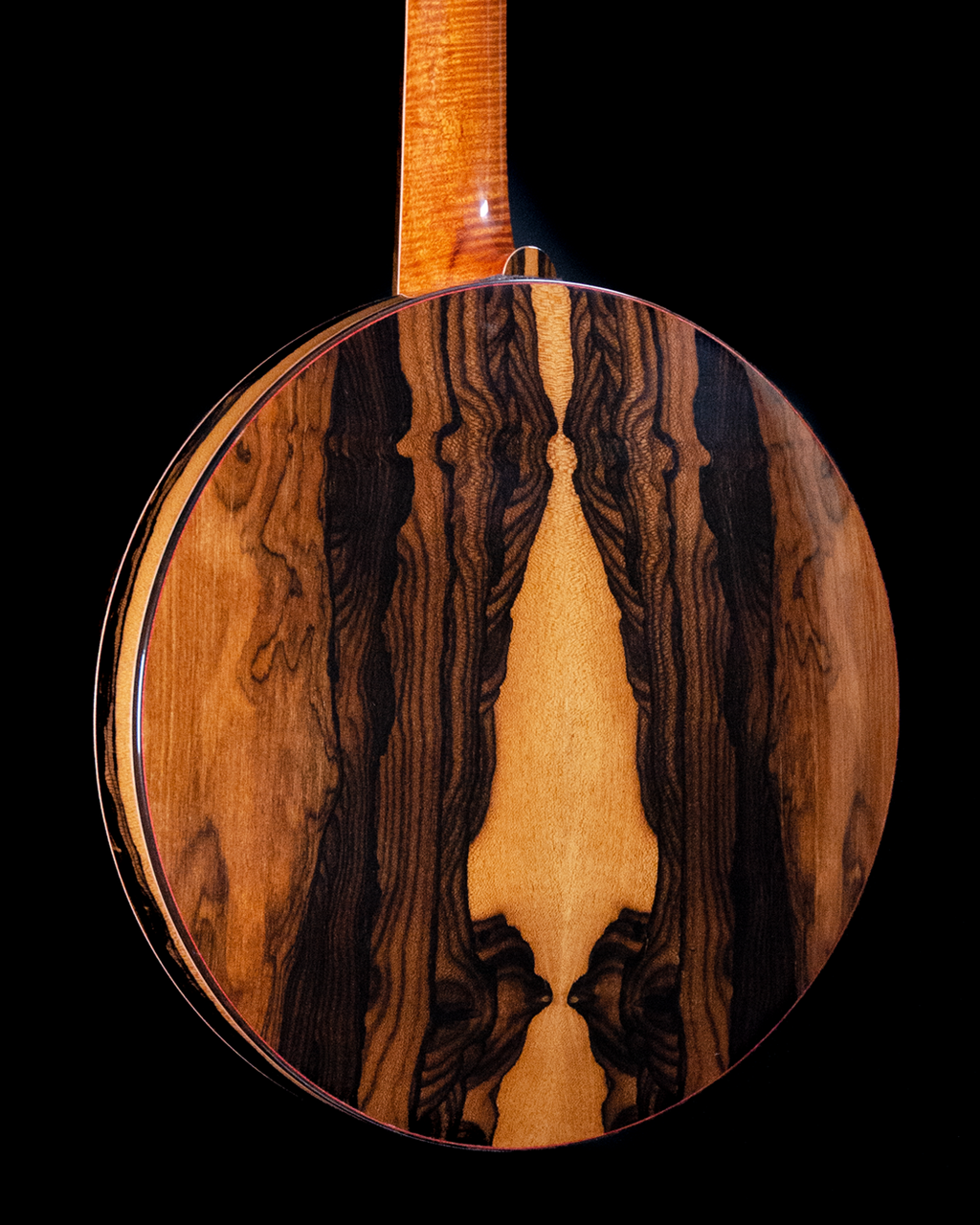 Bishline Ziricote Limited Edition, Super-Deluxe Resonator
