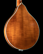 Bourgeois M5A Mandolin, Torrefied Adirondack Spruce, Torrified Maple - NEW - $2,405