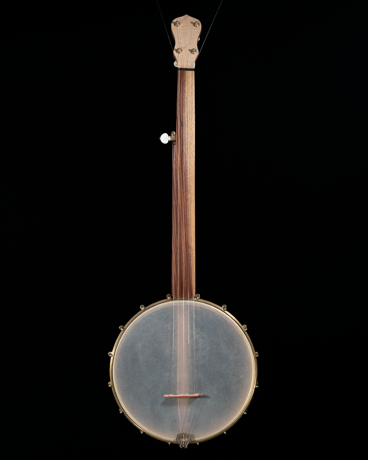 Fretless banjo best sale for sale