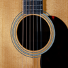 Eastman E20D-TC, Dreadnought, Torrefied Adirondack Spruce, Indian Rosewood, K&K Pickup - NEW - SOLD