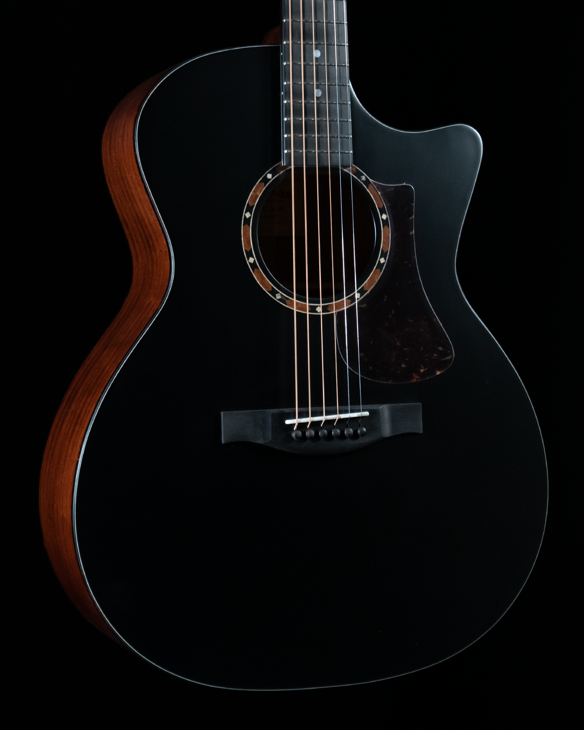 Eastman AC122-2CE-BK, Grand Auditorium, Cedar Top, Sapele
