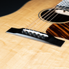 Eastman E16SS-TC-LTD, Thermo-Cured Bearclaw Adirondack, Birdseye Maple, Limited - NEW - SOLD