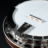 Gold Star GF-100JD, J.D. Crowe Signature Model Bluegrass Banjo - NEW - SOLD