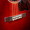 Kevin Kopp L2, L-02, Torrefied Adirondack Spruce, Mahogany, Faded Cherry Sunburst, Relic - SOLD