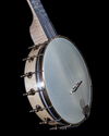 Pisgah Laydie 11" Open Back Banjo, Maple, Whyte Laydie Tone Ring - NEW - SOLD