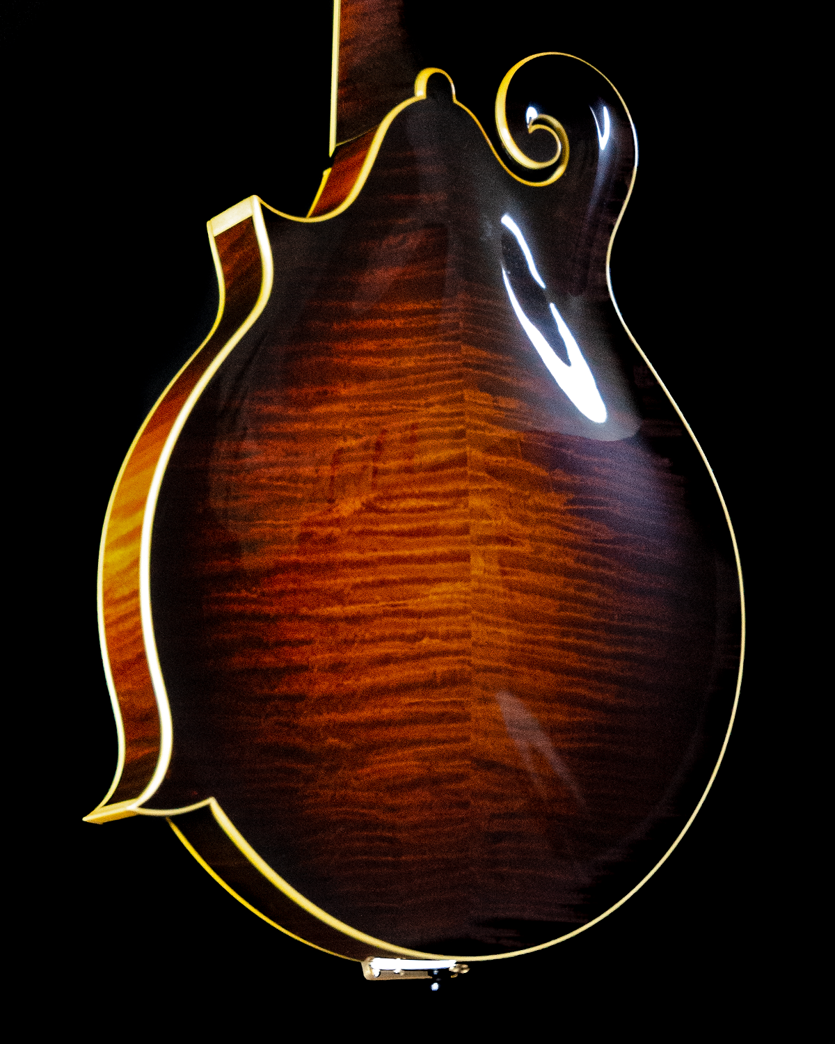 Fern Inlay Collings MF5 Varnish, Custom, Italian Spruce, Fern Inlay, Waverly Tune ...
