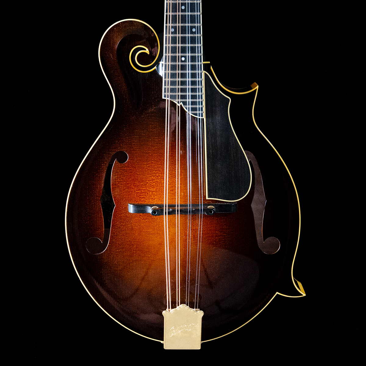 Fern Inlay Collings MF5 Varnish, Custom, Italian Spruce, Fern Inlay, Waverly Tune ...