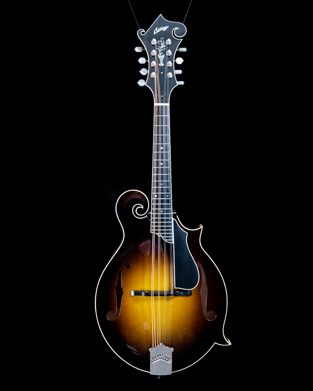 Collings Models Collings MF5 Custom, F Model, Adirondack Spruce, Maple, Cremona Burst ...