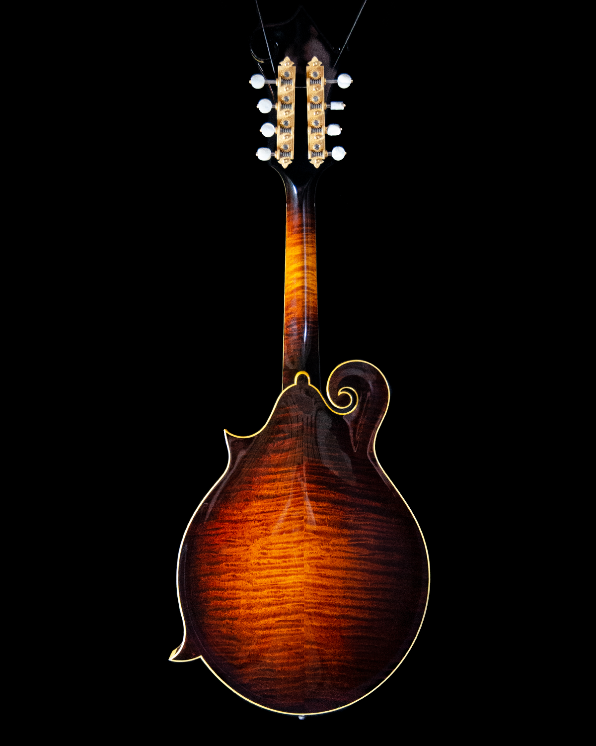 Fern Inlay Collings MF5 Varnish, Custom, Italian Spruce, Fern Inlay, Waverly Tune ...