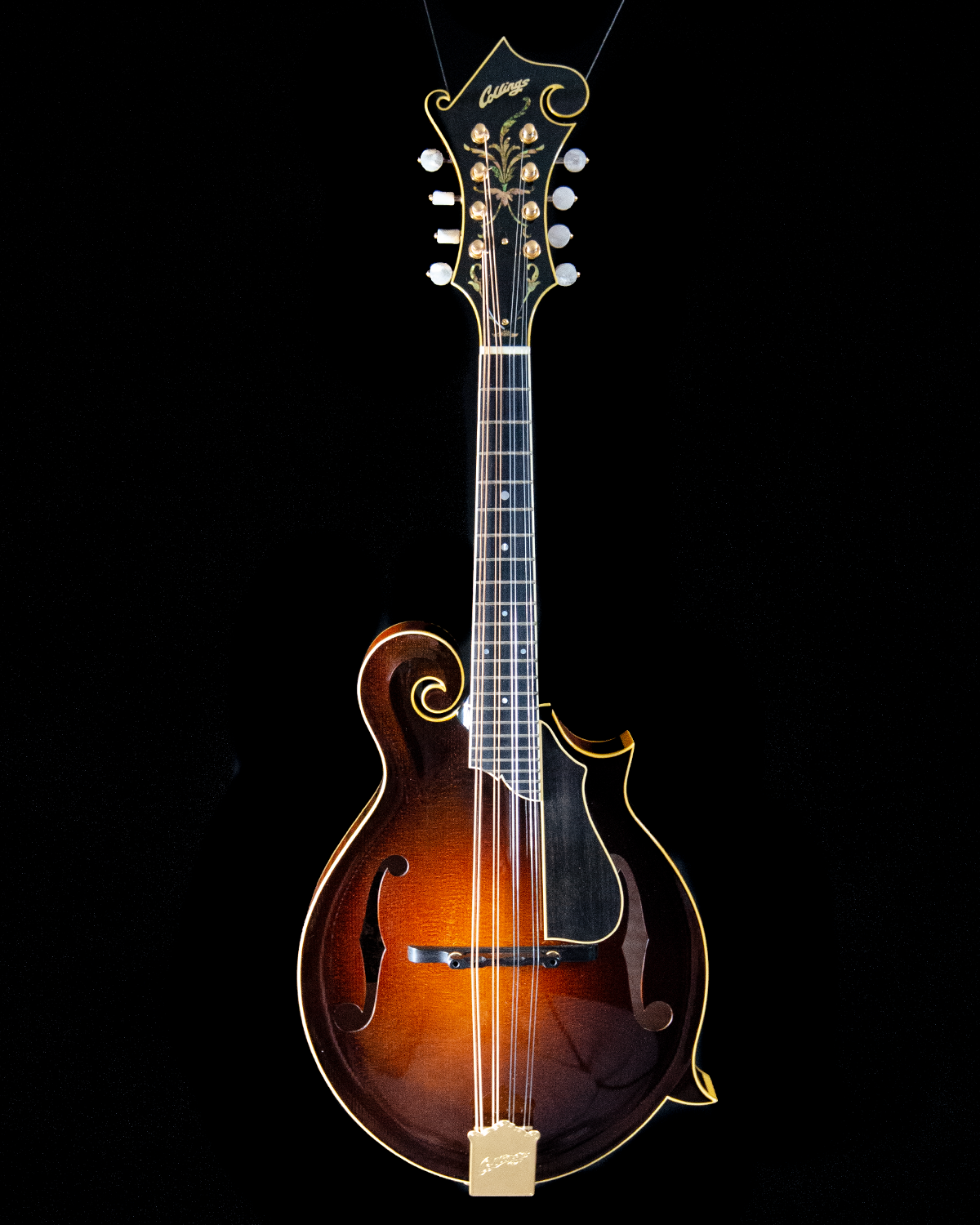 Fern Inlay Collings MF5 Varnish, Custom, Italian Spruce, Fern Inlay, Waverly Tune ...