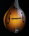 Collings MT, Engelmann Spruce, Maple, Satin Finish - NEW - SOLD