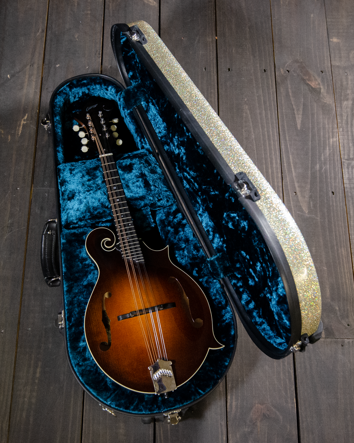 Gibson mandolin case deals