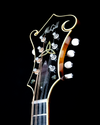 Tom McGill F-Model Mandolin, Burled Ash, Red Spruce, Varnish - SOLD