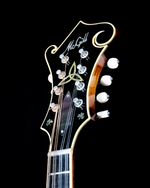 Tom McGill F-Model Mandolin, Burled Ash, Red Spruce, Varnish - SOLD