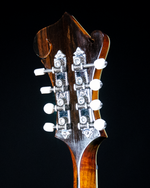 Tom McGill F-Model Mandolin, Burled Ash, Red Spruce, Varnish - SOLD