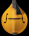 Northfield NFM-A5, A Model, Engelmann Spruce, Maple - NEW - SOLD