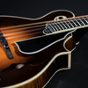 Northfield NFA-F51 I, 5-Bar Model, Italian Spruce, Maple, Carbon Fiber Case - NEW - SOLD