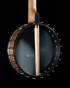 ODE 11" Magician Open-Back Banjo, Maple Tone Rim, Cherry Neck - SOLD