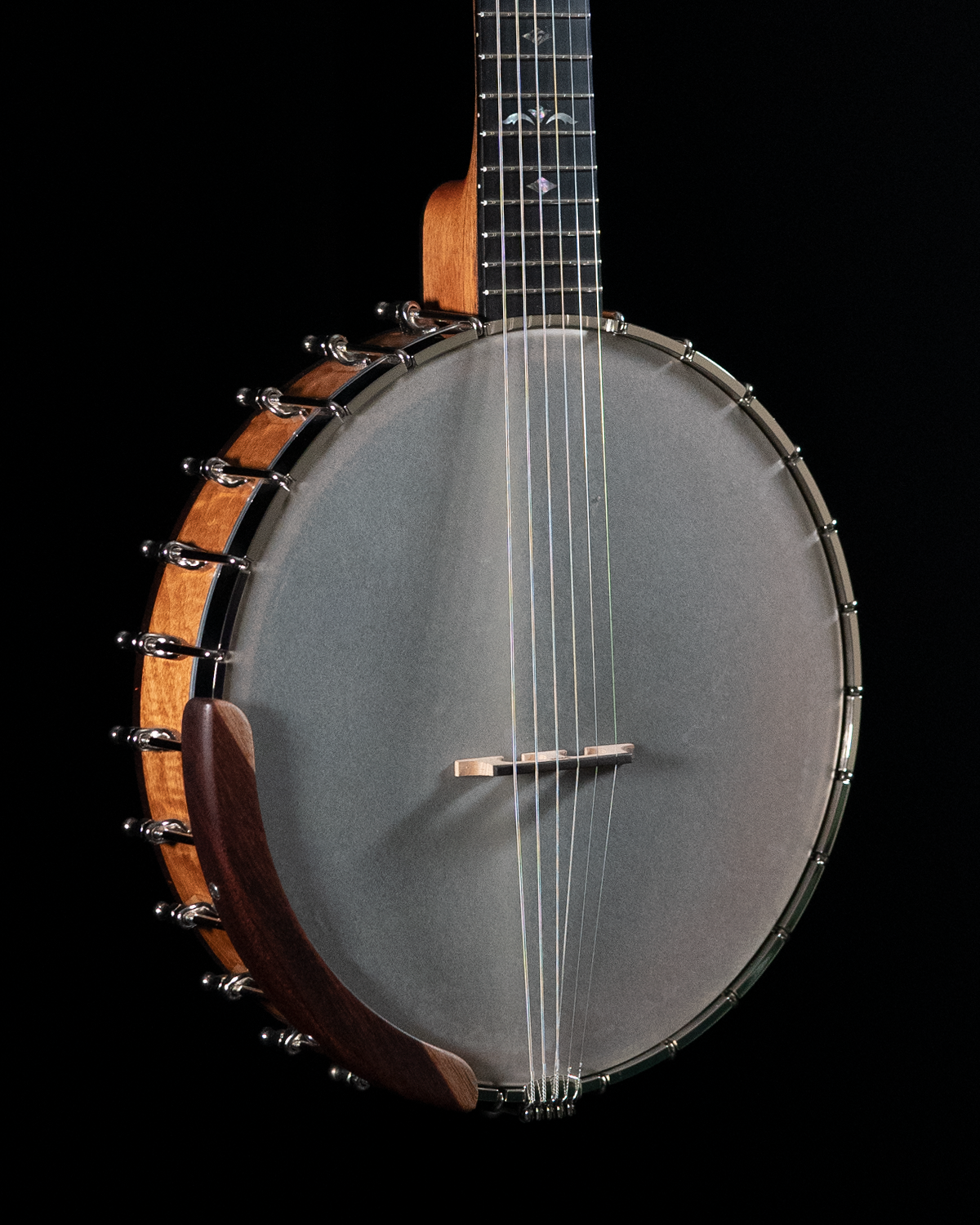 Ome omega hot sale banjo