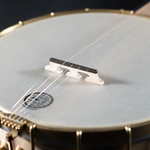 Pisgah Appalachian 11" Open-Back Banjo, Maple, polished brass Hardware - NEW - SOLD