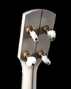 Pisgah Appalachian 11" Open-Back Banjo, Maple, polished brass Hardware - NEW - SOLD