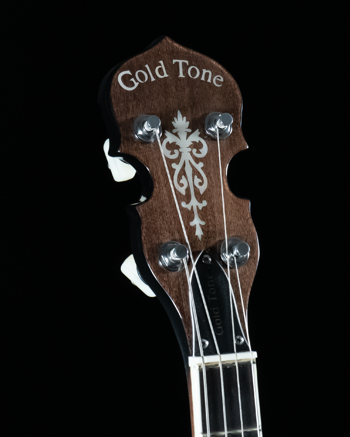 Gold Tone IT 250 Irish Tenor Banjo 11