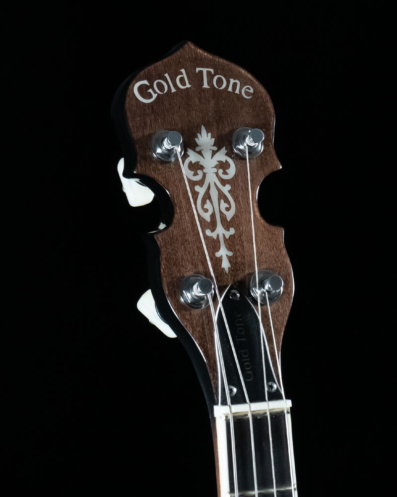 Gold Tone IT-250 Irish Tenor Banjo, 11" Rim, Short Scale - NEW