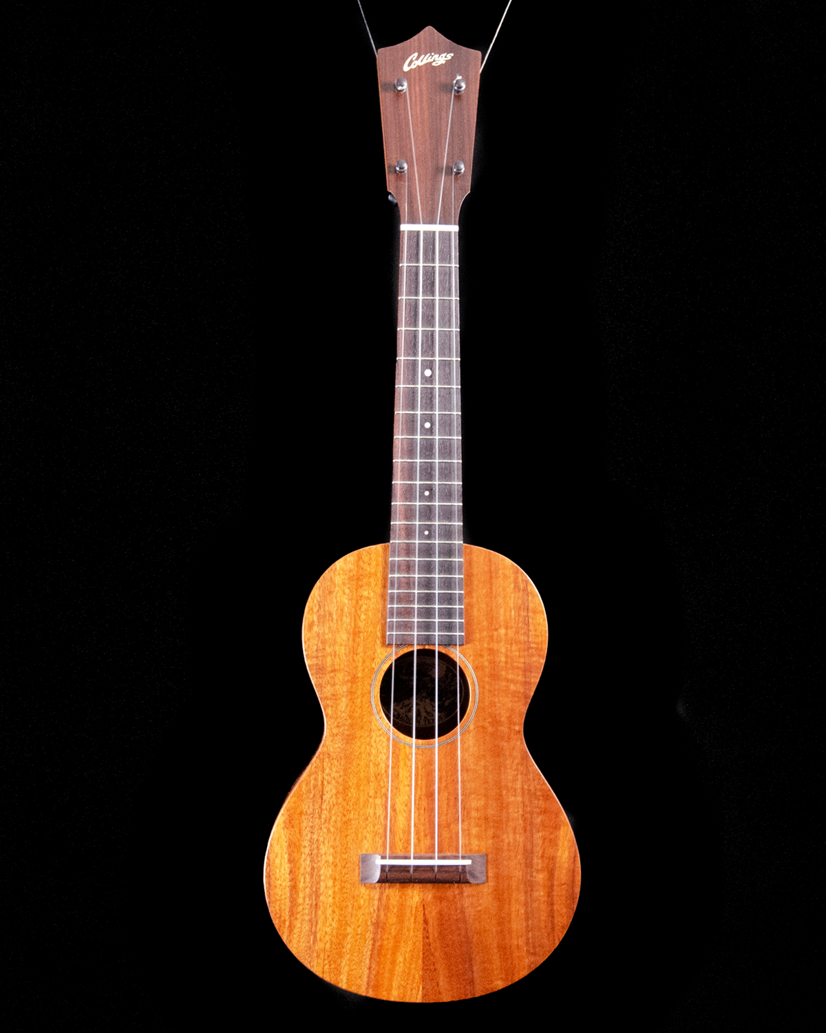 Collings UC1K Koa Ukulele - NEW - SOLD – Acoustic Music Works LLC