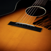 2014 Waterloo WL-14 X (No Truss Rod) #008, Sitka Spruce, Mahogany - USED - SOLD